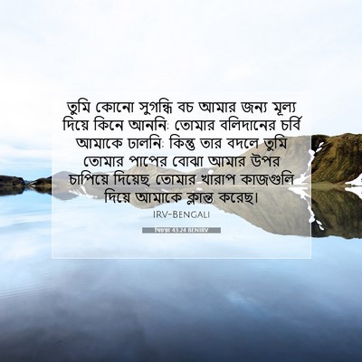 Picture 07 - যিচয়া 43:24 BENIRV - তুমি কোনো সুগন্ধি - Bible Verse Picture