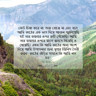 Picture 07 - যিচয়া 44:19 BENIRV - কেউ চিন্তা করে না; - Bible Verse Picture