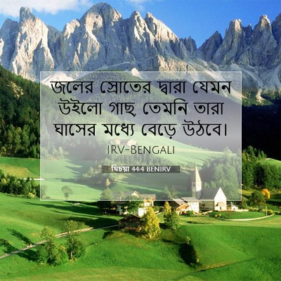 Picture 07 - যিচয়া 44:4 BENIRV - জলের স্রোতের - Bible Verse Picture