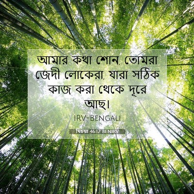 Picture 07 - যিচয়া 46:12 BENIRV - আমার কথা শোন, তোমরা - Bible Verse Picture
