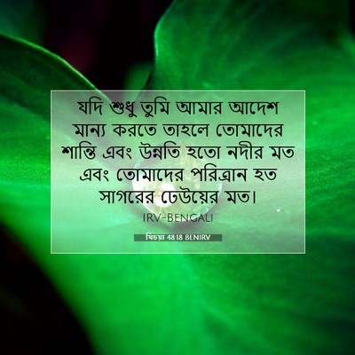 Picture 07 - যিচয়া 48:18 BENIRV - যদি শুধু তুমি আমার - Bible Verse Picture