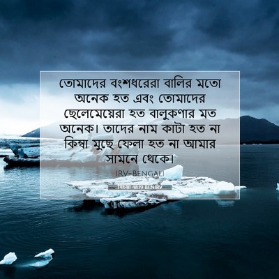 Picture 07 - যিচয়া 48:19 BENIRV - তোমাদের বংশধরেরা - Bible Verse Picture