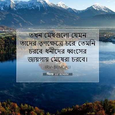 Picture 07 - যিচয়া 5:17 BENIRV - তখন মেষগুলো যেমন - Bible Verse Picture