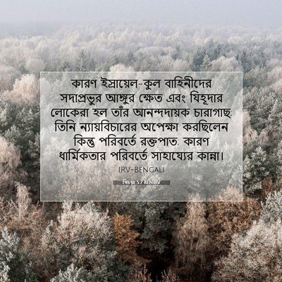 Picture 07 - যিচয়া 5:7 BENIRV - কারণ - Bible Verse Picture