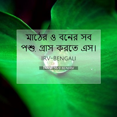 Picture 07 - যিচয়া 56:9 BENIRV - মাঠের ও বনের সব - Bible Verse Picture