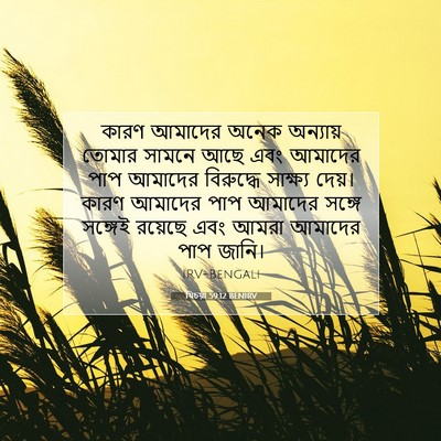 Picture 07 - যিচয়া 59:12 BENIRV - কারণ আমাদের অনেক - Bible Verse Picture