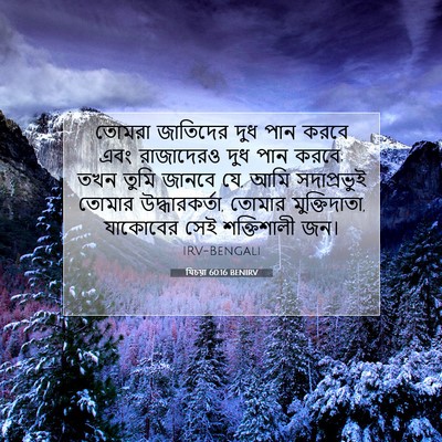 Picture 07 - যিচয়া 60:16 BENIRV - তোমরা জাতিদের দুধ - Bible Verse Picture