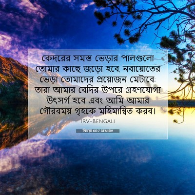 Picture 07 - যিচয়া 60:7 BENIRV - কেদরের সমস্ত - Bible Verse Picture