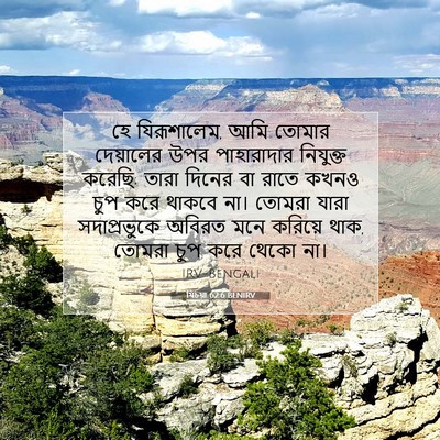 Picture 07 - যিচয়া 62:6 BENIRV - হে যিরূশালেম, আমি - Bible Verse Picture