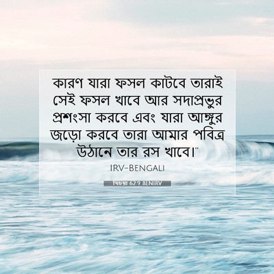 Picture 07 - যিচয়া 62:9 BENIRV - কারণ যারা ফসল - Bible Verse Picture