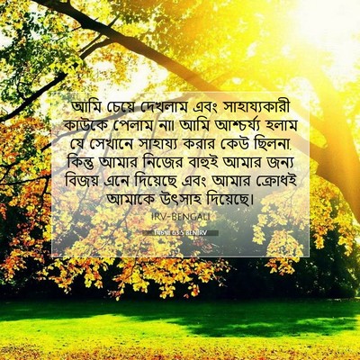 Picture 07 - যিচয়া 63:5 BENIRV - আমি চেয়ে দেখলাম - Bible Verse Picture