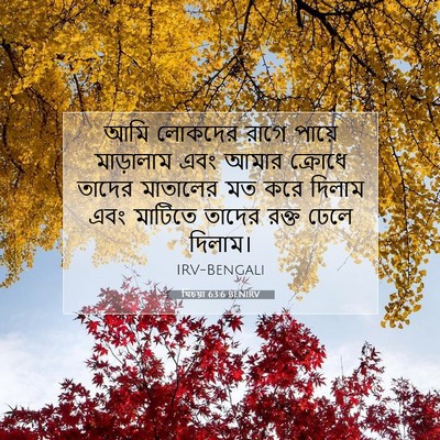 Picture 07 - যিচয়া 63:6 BENIRV - আমি লোকদের রাগে - Bible Verse Picture