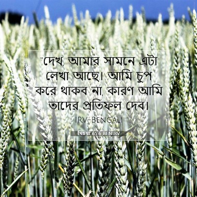 Picture 07 - যিচয়া 65:6 BENIRV - “দেখ, আমার সামনে - Bible Verse Picture