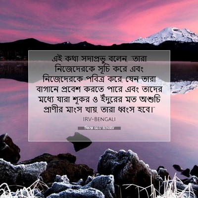 Picture 07 - যিচয়া 66:17 BENIRV - এই কথা সদাপ্রভু - Bible Verse Picture