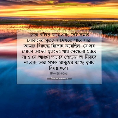 Picture 07 - যিচয়া 66:24 BENIRV - “তারা বাইরে যাবে - Bible Verse Picture