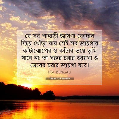 Picture 07 - যিচয়া 7:25 BENIRV - যে সব পাহাড়ী - Bible Verse Picture