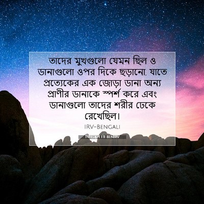 Picture 07 - যিহিষ্কেল 1:11 BENIRV - তাদের মুখগুলো - Bible Verse Picture