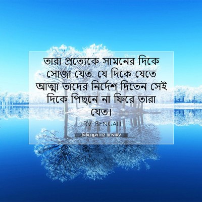 Picture 07 - যিহিষ্কেল 1:12 BENIRV - তারা প্রত্যেকে - Bible Verse Picture