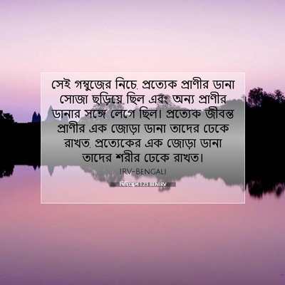 Picture 07 - যিহিষ্কেল 1:23 BENIRV - সেই গম্বুজের নিচে, - Bible Verse Picture