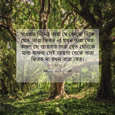 Picture 07 - যিহিষ্কেল 10:11 BENIRV - যাওয়ার দিনের - Bible Verse Picture