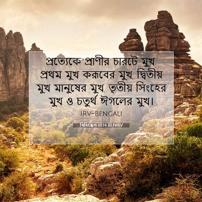 Picture 07 - যিহিষ্কেল 10:14 BENIRV - প্রত্যেকে প্রাণীর - Bible Verse Picture