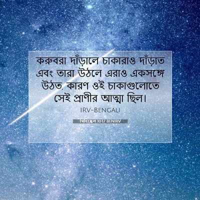 Picture 07 - যিহিষ্কেল 10:17 BENIRV - করুবরা দাঁড়ালে - Bible Verse Picture