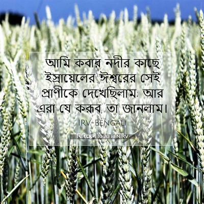 Picture 07 - যিহিষ্কেল 10:20 BENIRV - আমি কবার নদীর কাছে - Bible Verse Picture