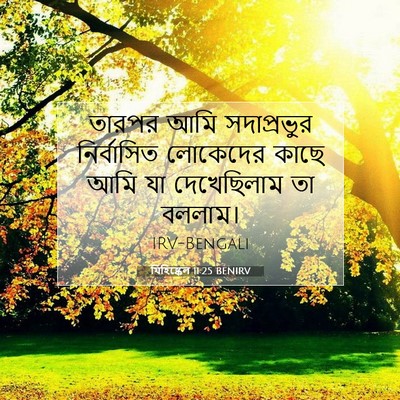 Picture 07 - যিহিষ্কেল 11:25 BENIRV - তারপর আমি - Bible Verse Picture