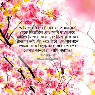 Picture 07 - যিহিষ্কেল 13:14 BENIRV - আমি দেয়াল ভেঙে - Bible Verse Picture