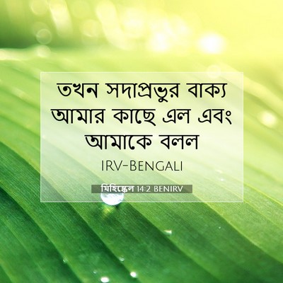 Picture 07 - যিহিষ্কেল 14:2 BENIRV - তখন সদাপ্রভুর - Bible Verse Picture