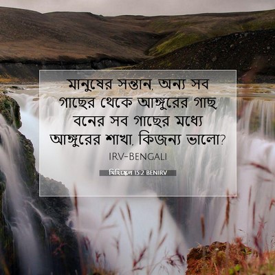 Picture 07 - যিহিষ্কেল 15:2 BENIRV - মানুষের সন্তান, - Bible Verse Picture