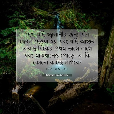 Picture 07 - যিহিষ্কেল 15:4 BENIRV - দেখ, যদি জ্বালানীর - Bible Verse Picture