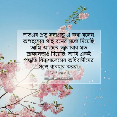 Picture 07 - যিহিষ্কেল 15:6 BENIRV - অতএব প্রভু - Bible Verse Picture