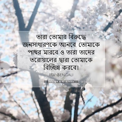 Picture 07 - যিহিষ্কেল 16:40 BENIRV - তারা তোমার - Bible Verse Picture