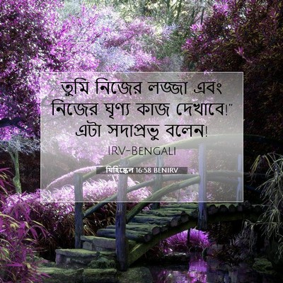 Picture 07 - যিহিষ্কেল 16:58 BENIRV - তুমি নিজের লজ্জা - Bible Verse Picture