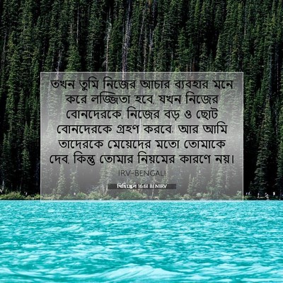 Picture 07 - যিহিষ্কেল 16:61 BENIRV - তখন তুমি নিজের - Bible Verse Picture