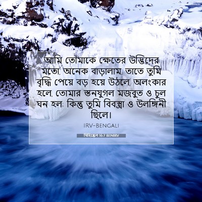Picture 07 - যিহিষ্কেল 16:7 BENIRV - আমি তোমাকে - Bible Verse Picture