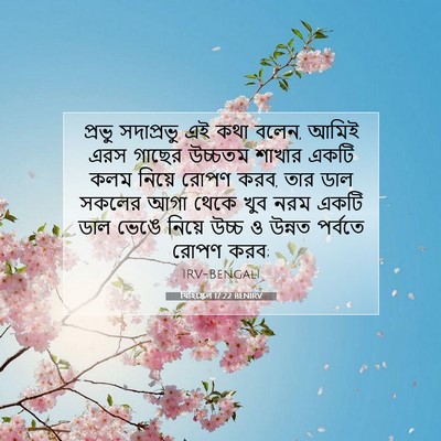 Picture 07 - যিহিষ্কেল 17:22 BENIRV - প্রভু সদাপ্রভু এই - Bible Verse Picture