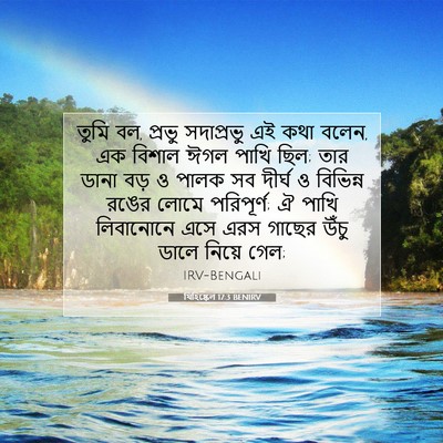 Picture 07 - যিহিষ্কেল 17:3 BENIRV - তুমি বল, প্রভু - Bible Verse Picture