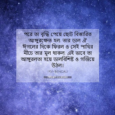 Picture 07 - যিহিষ্কেল 17:6 BENIRV - পরে তা বৃদ্ধি - Bible Verse Picture