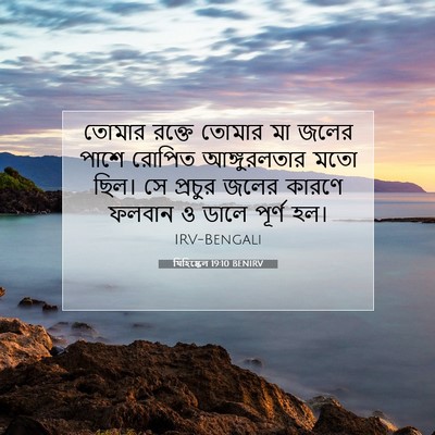 Picture 07 - যিহিষ্কেল 19:10 BENIRV - তোমার রক্তে তোমার - Bible Verse Picture
