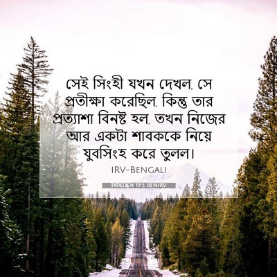 Picture 07 - যিহিষ্কেল 19:5 BENIRV - সেই সিংহী যখন দেখল, - Bible Verse Picture