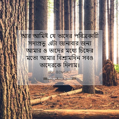 Picture 07 - যিহিষ্কেল 20:12 BENIRV - আর আমিই যে তাদের - Bible Verse Picture