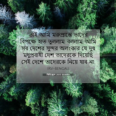 Picture 07 - যিহিষ্কেল 20:15 BENIRV - তাই আমি - Bible Verse Picture