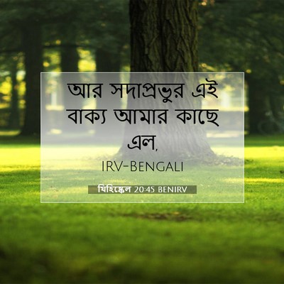 Picture 07 - যিহিষ্কেল 20:45 BENIRV - আর সদাপ্রভুর এই - Bible Verse Picture