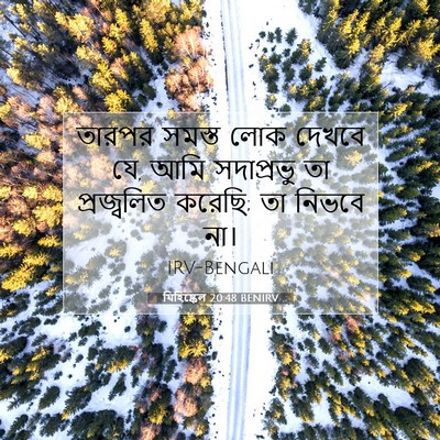 Picture 07 - যিহিষ্কেল 20:48 BENIRV - তারপর সমস্ত লোক - Bible Verse Picture