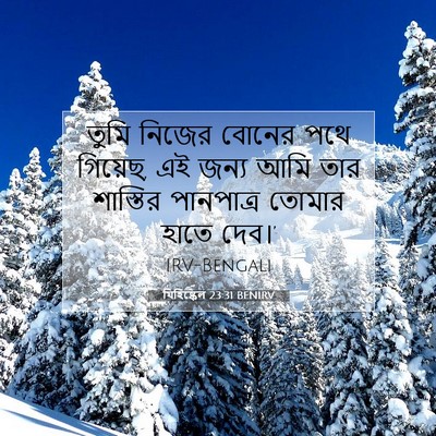 Picture 07 - যিহিষ্কেল 23:31 BENIRV - তুমি নিজের বোনের - Bible Verse Picture