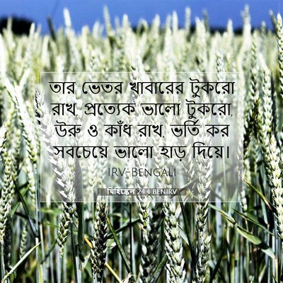 Picture 07 - যিহিষ্কেল 24:4 BENIRV - তার ভেতর খাবারের - Bible Verse Picture