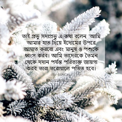 Picture 07 - যিহিষ্কেল 25:13 BENIRV - তাই প্রভু - Bible Verse Picture