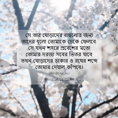 Picture 07 - যিহিষ্কেল 26:10 BENIRV - সে তার ঘোড়াদের - Bible Verse Picture